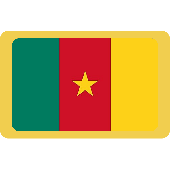 Cameroon Flag Allinonesite Bangladesh