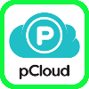 P Cloud Logo